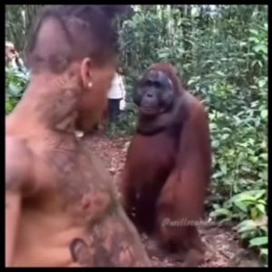 Meet your Posher, Kyle